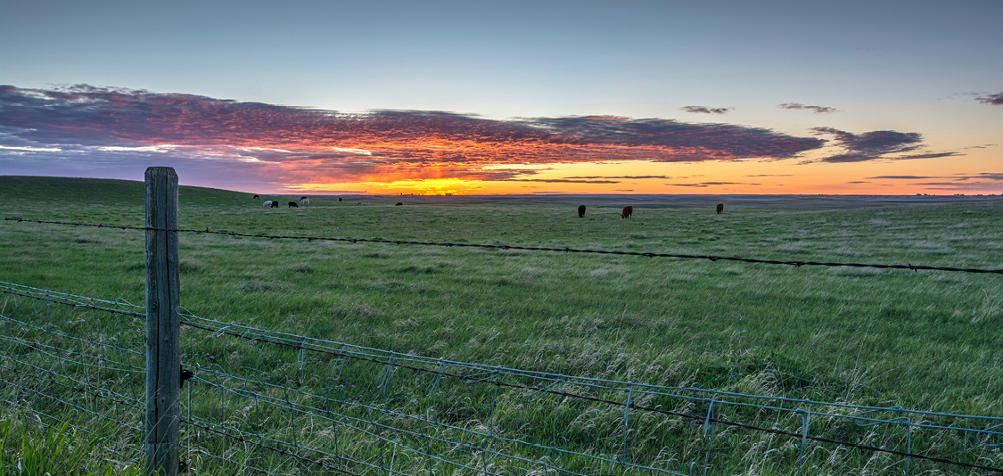 Sunset over farmland