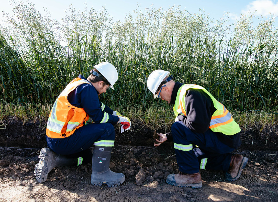 Field inspectors examining some ground