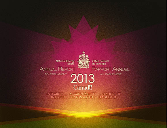 Annual Report to Parliament 2013