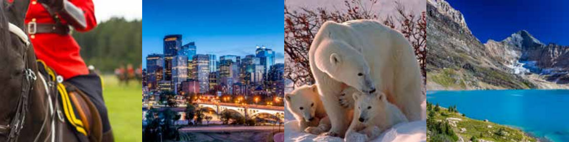 Mountie, City Skyline, Polar Bears, Lake