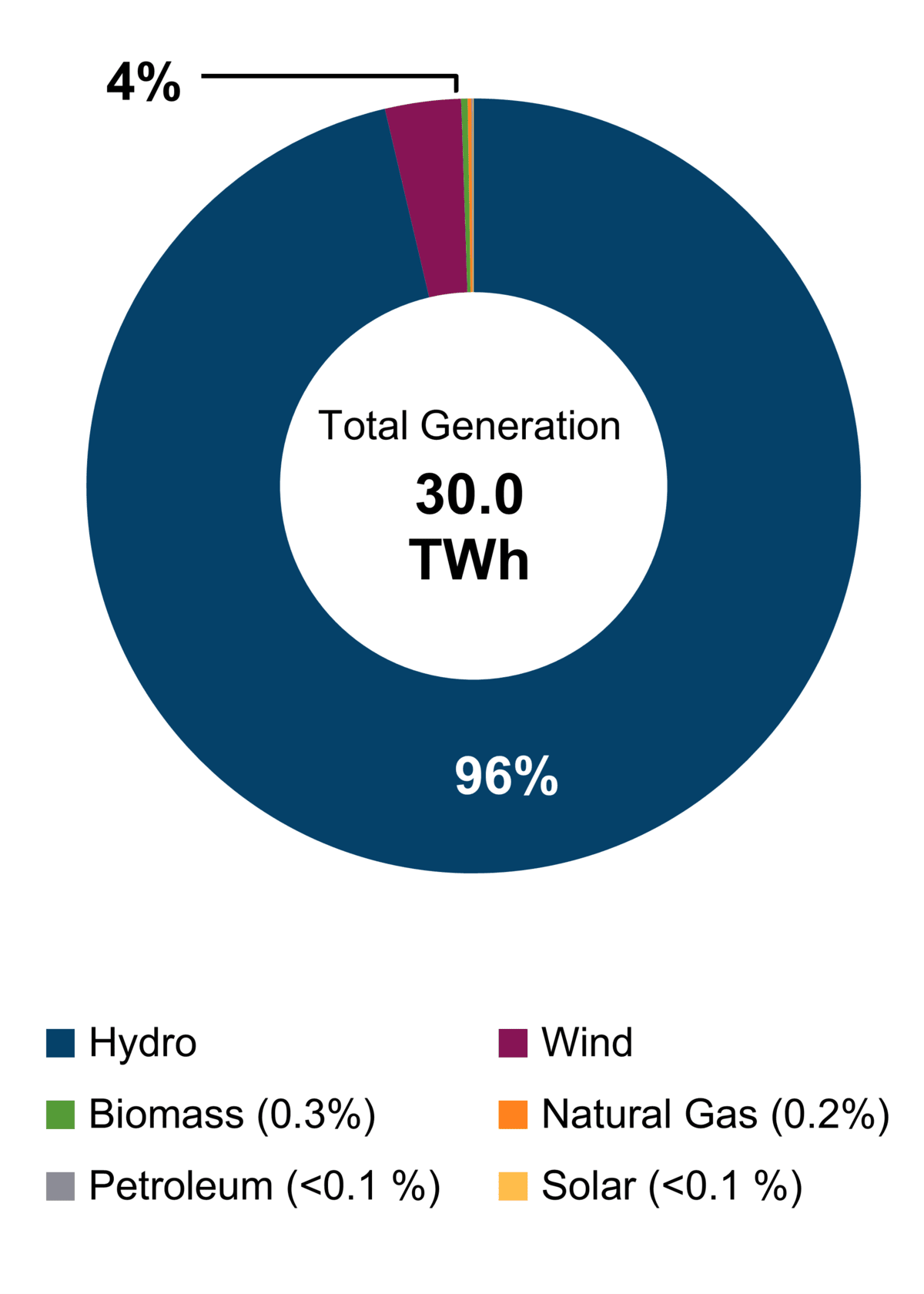 Figure 1: Electricity Generation by Fuel Type (2021)