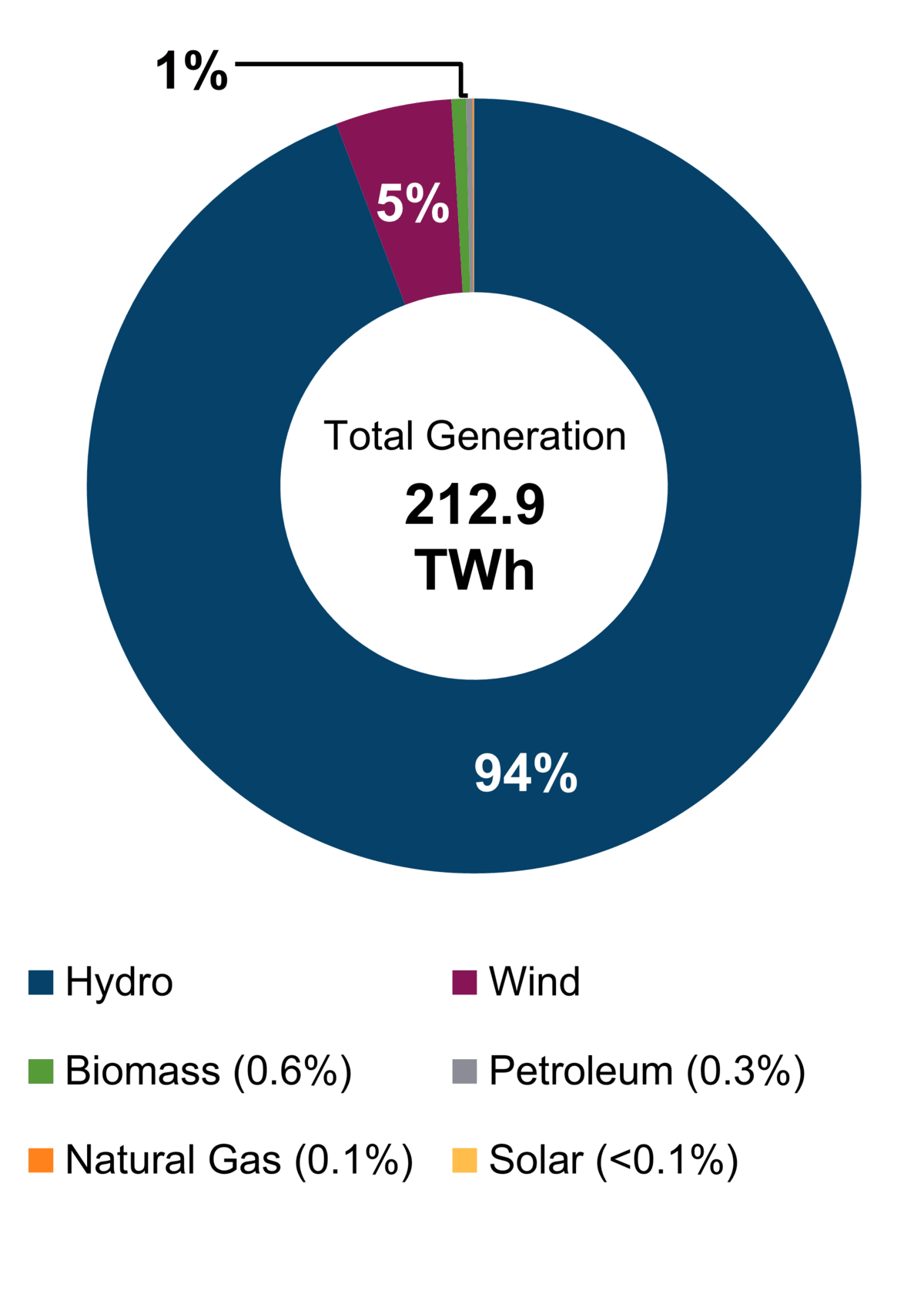 Figure 1: Electricity Generation by Fuel Type (2021)
