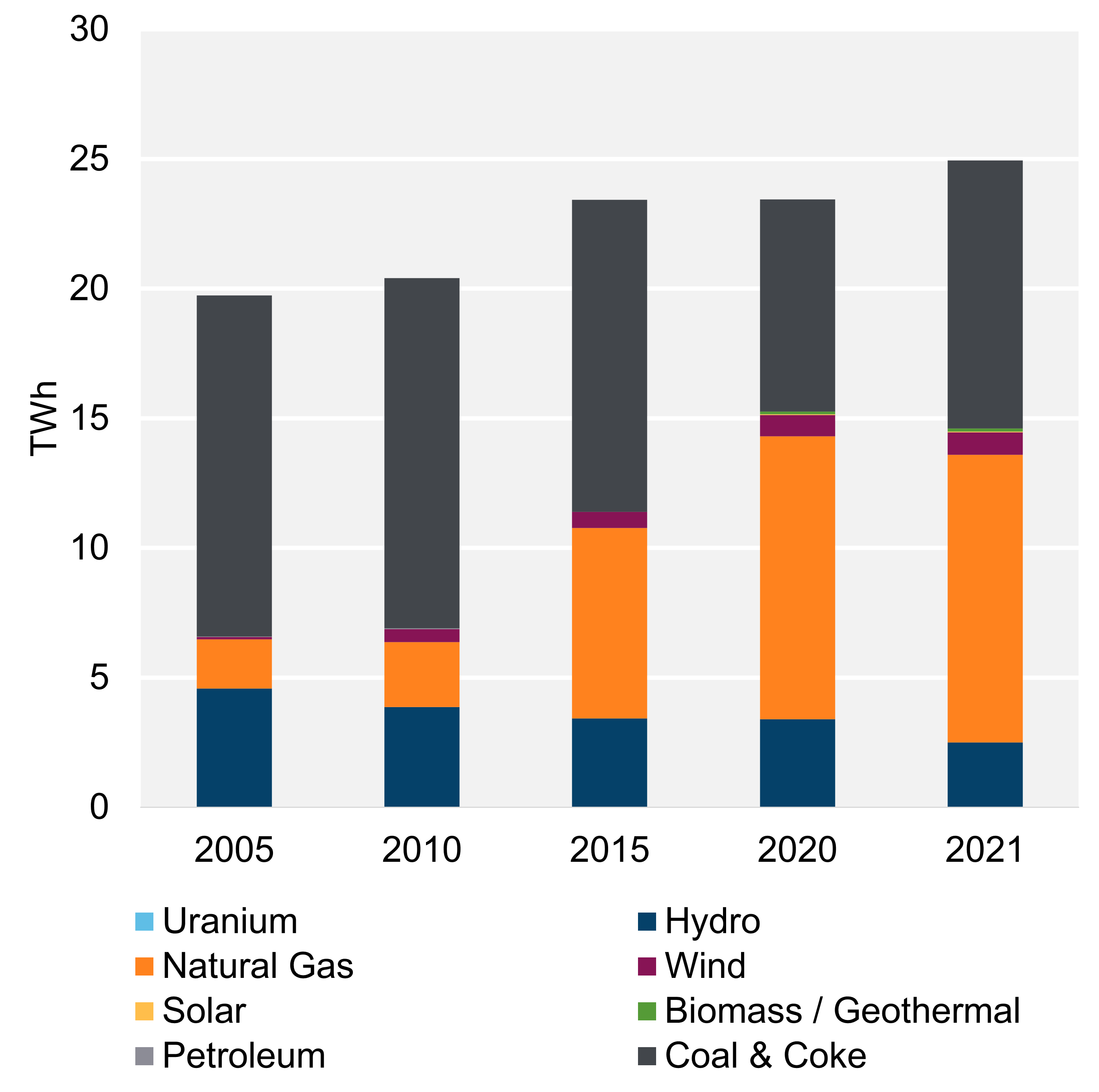 Figure 2: Electricity generation by Fuel Type, Trend (2021)
