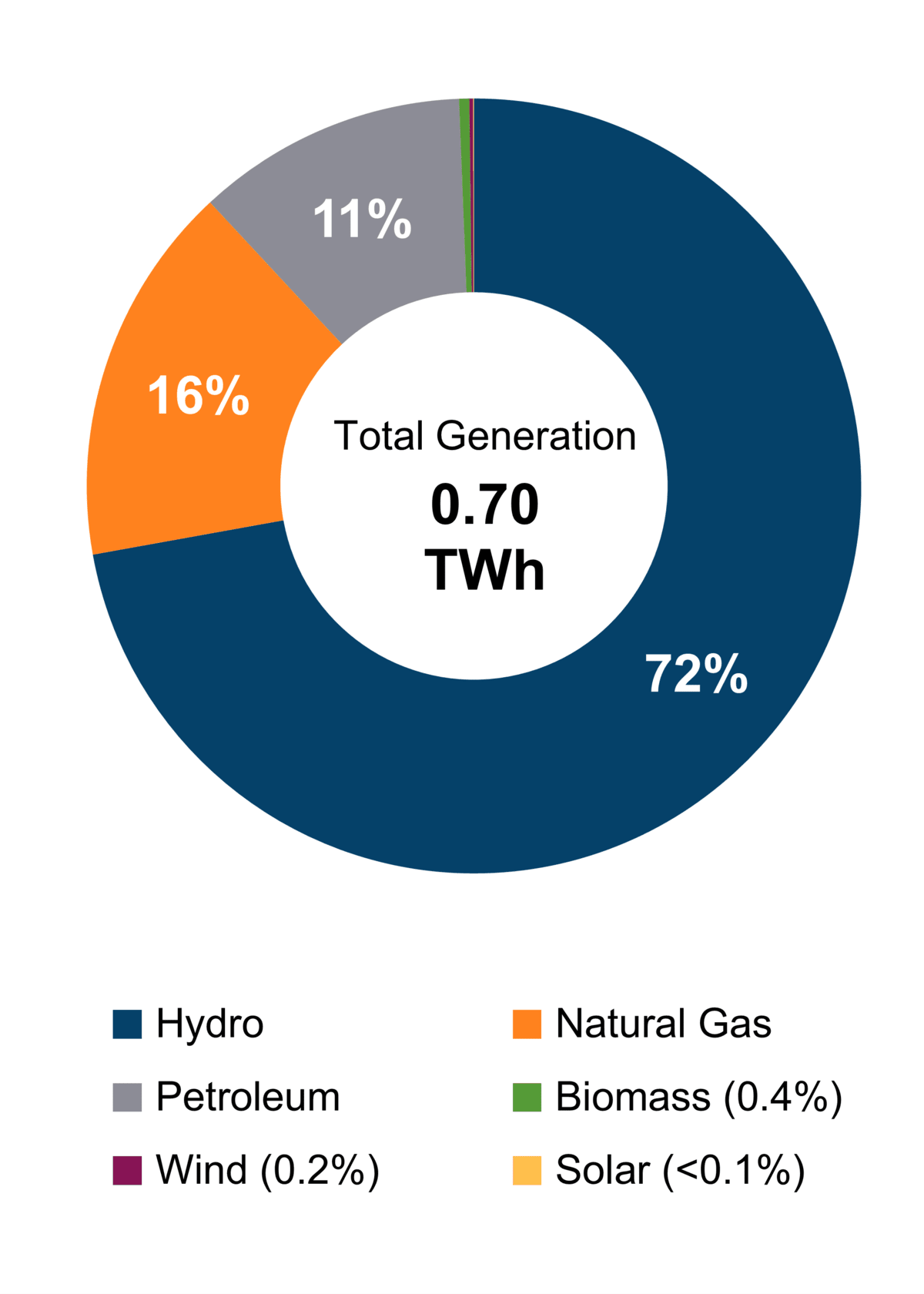 Figure 1: Electricity generation by Fuel Type (2021)