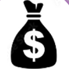 Icon – Bag with a dollar sign inside it representing financial resources