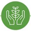 Icon – hands holding plant