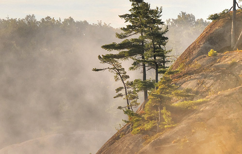 Pins poussant sur le rivage rocheux du lac George et la montagne La Cloche au parc Killarney, en Ontario, au Canada.