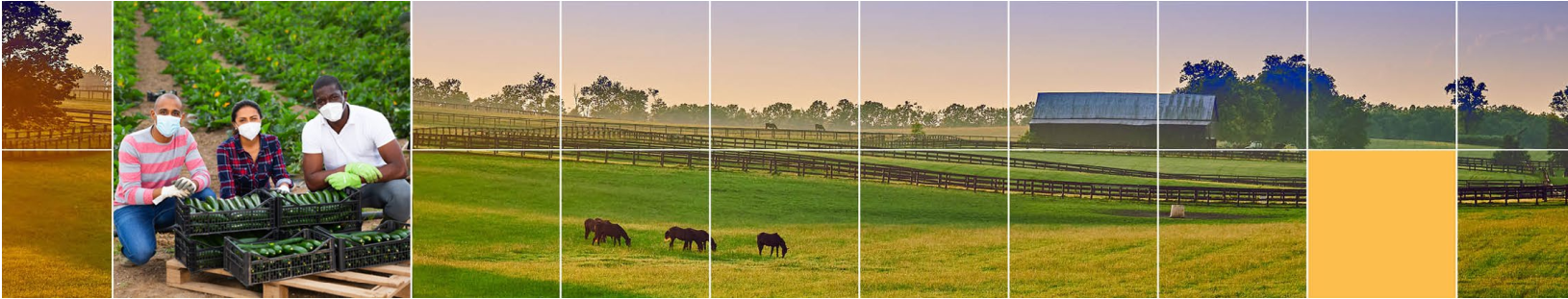 Bannière quadrillée avec pictogramme montrant un paysage agricole.