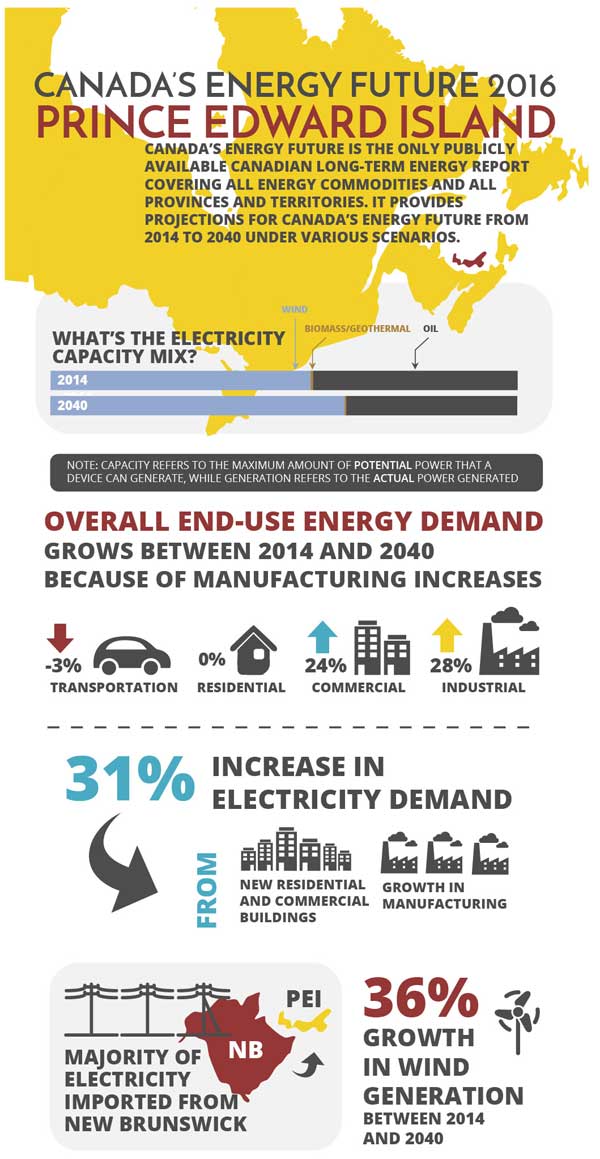 Infographic of key findings for Prince Edward Island