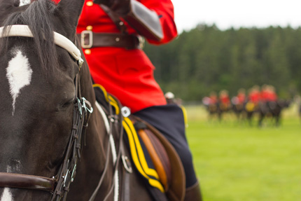 Detail of a Royal Canadian Mounted Police in the saddle