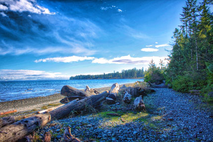 Driftwood piled up on the beach of a B.C. lake