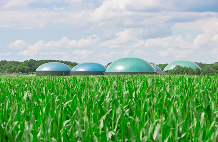 Installation moderne de production de biogaz à l’horizon avec champ de plantes cultivées à l’avant-plan