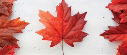 The Canadian flag composed of maple leaves.