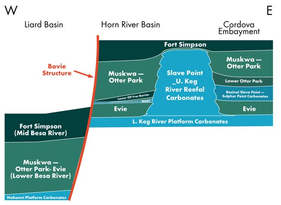 Coupe transversale incluant le bassin de Horn River