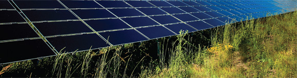 A solar farm in Ontario.