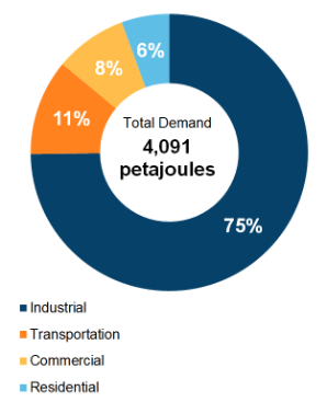 Figure 5: End-Use Demand by Sector