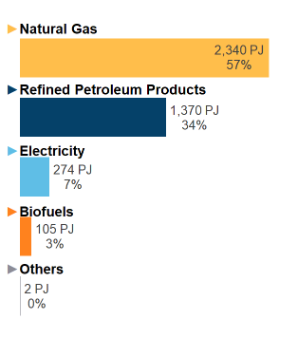Figure 6: End-Use Demand by Fuel (2019)