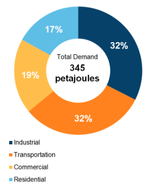 Figure 5: End-Use Demand by Sector (2019)