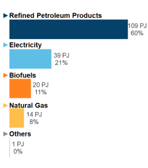 Figure 6: End-Use Demand by Fuel (2019)