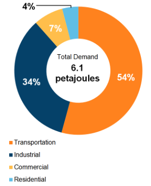 Figure 2: End-Use Demand by Sector (2019)