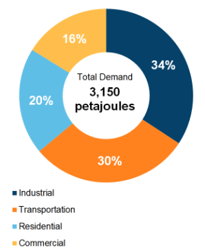 Figure 5: End-Use Demand by Sector (2019)