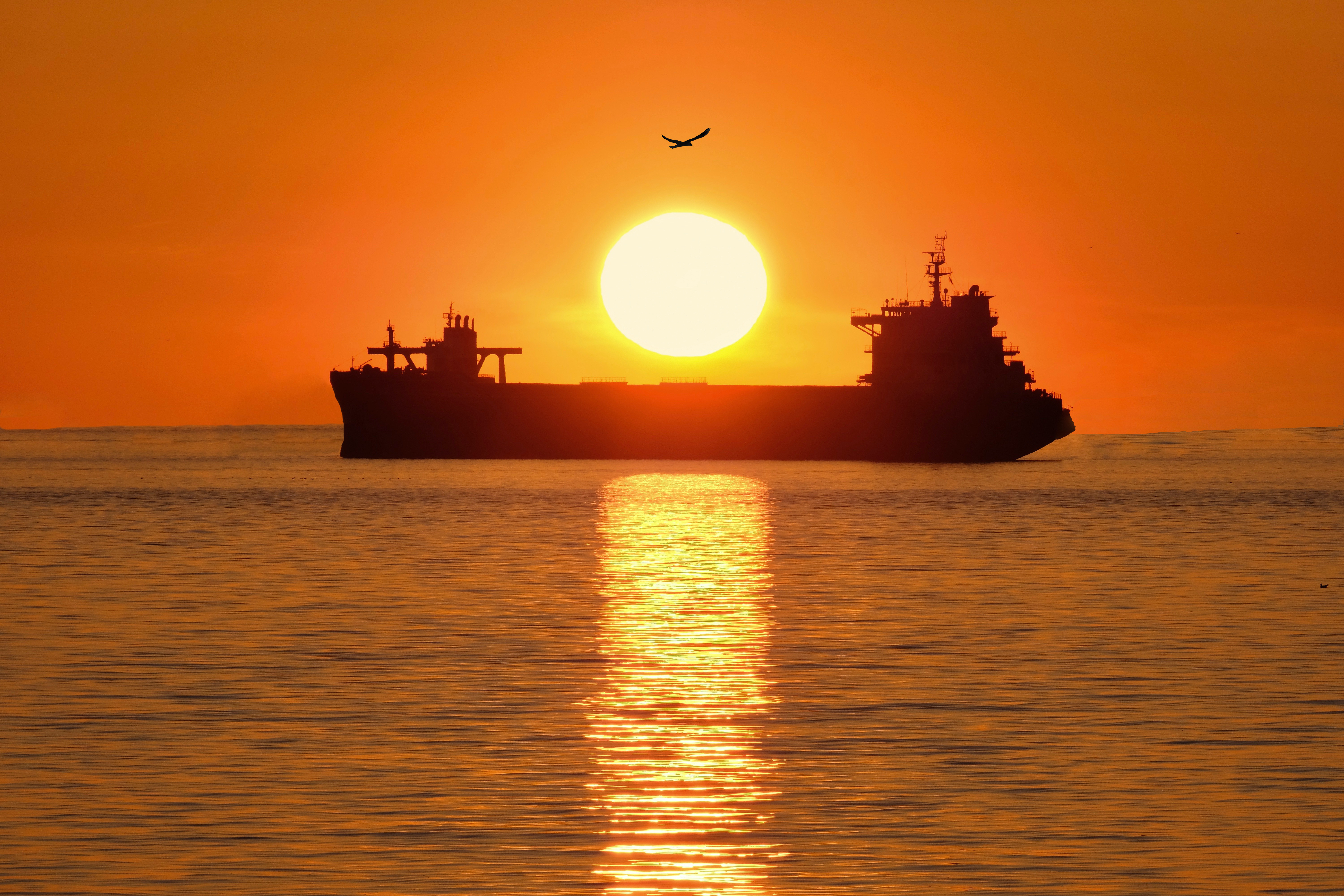 Transport ship on ocean at sunset, with bird flying over.