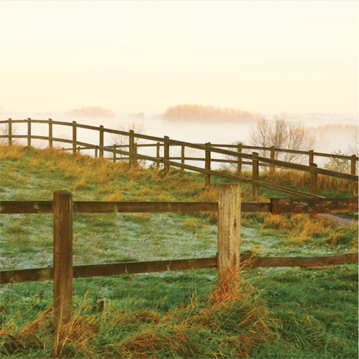 Rustic wooden fence blocking in a green field