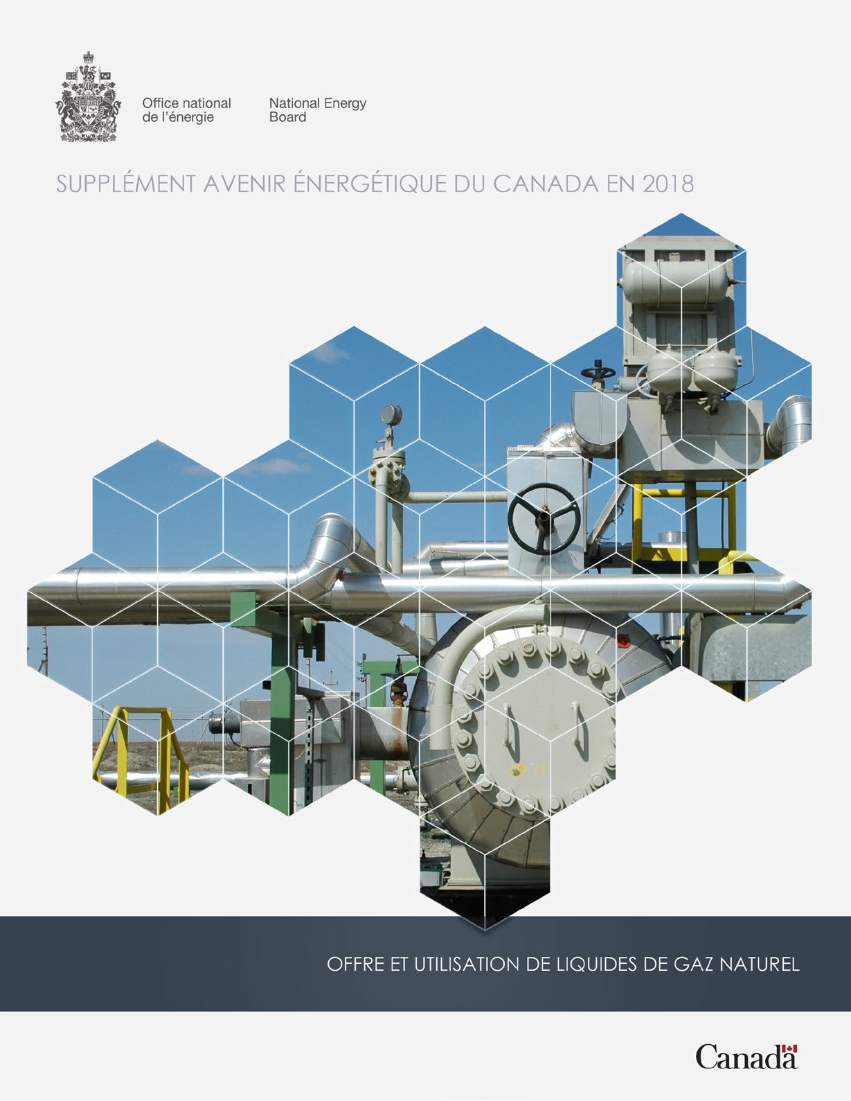 Supplément Avenir énergétique du Canada en 2018 – Offre et utilisation de liquides de gaz naturel