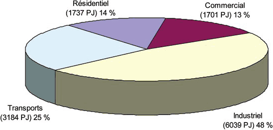 Figure 1 : Parts de la demande finale d’énergie secondaire (2004)