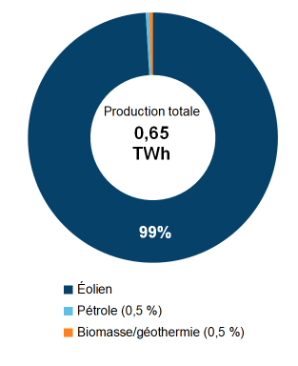 Figure 1 : Production d’électricité selon le type de combustible (2019)