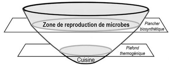Figure 3 : Production de méthane biosynthétique (zone de reproduction) et thermogénique (cuisine)