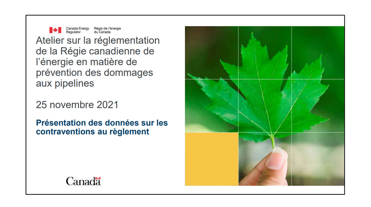 Présentation des données sur les contraventions au règlement